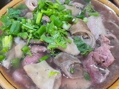-小杨翘脚牛肉