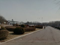 -丁香湖公园