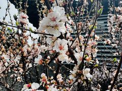 -凤城河风景区
