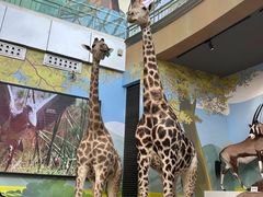 -陕西自然博物馆