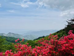 -木兰云雾山