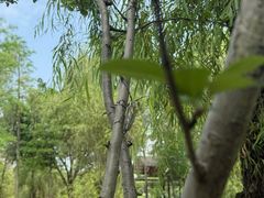 -沐仙湖湿地公园