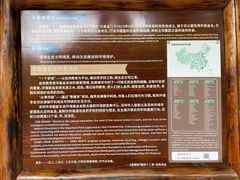-华侨城湿地公园