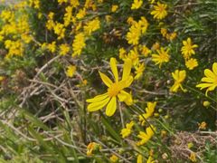 -剪刀石头布家居广场