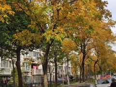 -金鹤新城水岸秀苑