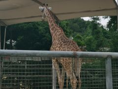 -泉州海丝野生动物世界