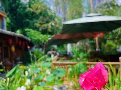 -田园印象·成都土菜院子(华阳店)