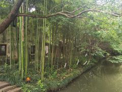 -乌村