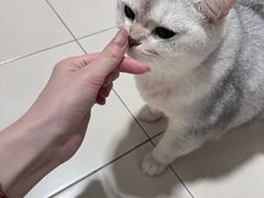-宠颐生宠物医院外科·内科·皮肤科·影像科(石龙店)