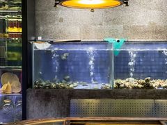 面包甜点陈列柜-新荣记(西溪湿地店)