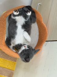 -弘源美甲美睫