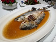 -醉辉皇上海之巅(上海中心大厦店)