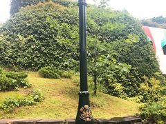 -三鹰之森吉卜力美术馆