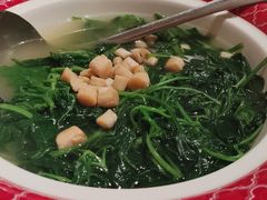 -谭厨中山传家菜.乳鸽.脆鲩鱼(华强北中航城店)