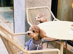 景观位-Wagas沃歌斯(大学路店)