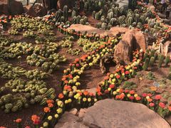 -南通洲际绿博园