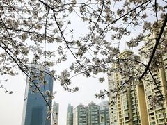 -西北湖绿化广场