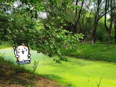 -长白岛森林公园