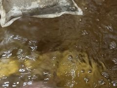 -三谷里·生态水疗空间(五一店)