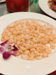 -新城花园酒店·宴会厅