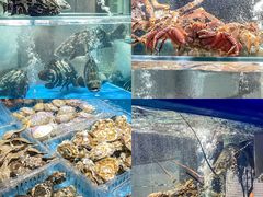-1718海鲜姿造(苏宁宴请臻选店)