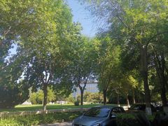 -北京国家会计学院