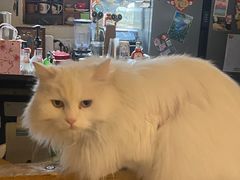 -小时光咖啡馆(开森度假森林店)