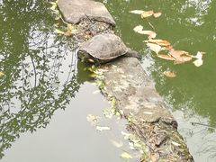 -杭州西湖风景名胜区-三生石