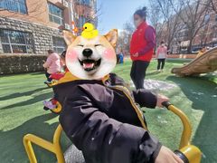 -北京市朝阳区阳光起点幼儿园(东坝园)