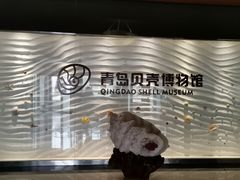 -青岛贝壳博物馆