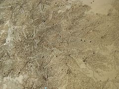 -沙扒湾