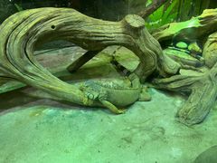 -华夏文旅西安度假区