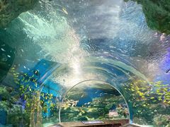 -海合安成都极地海洋公园