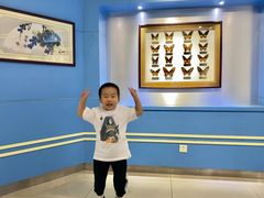 -上海昆虫博物馆