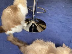 -零纪元VR体验馆·桌游(黄浦店)