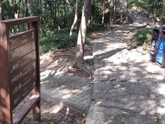 -上海佘山国家森林公园天马山园