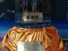 -陕西自然博物馆