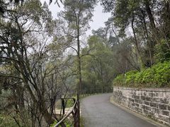-南山植物园