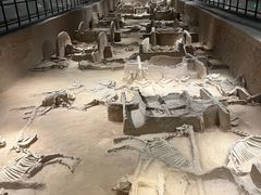 -洛阳周王城天子驾六博物馆