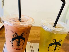 -TrueLove @ Neverland (Husky Cafe)