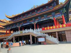 -东莞市大岭山森林公园
