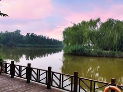 -塘沽森林公园
