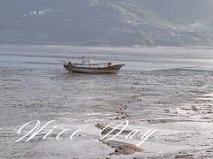 -北岐滩涂