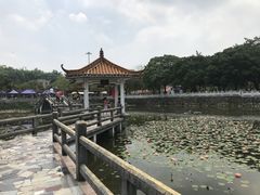 -红山村