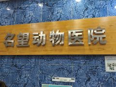 -瑞派名望24h动物医院异宠专科·猫专科·骨科·重症监护分院