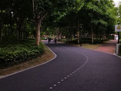 -上海山野camping·户外天幕烧烤·团建拓展营地