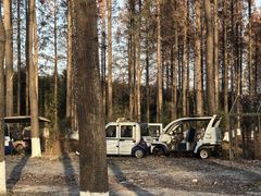 -黄海国家森林公园