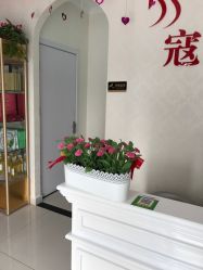 -苗塑堂减肥艾灸