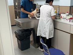 -瑞派伍一宠物医院·眼科·骨科·猫科转诊中心(马王堆院)