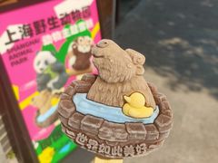 -上海野生动物园
